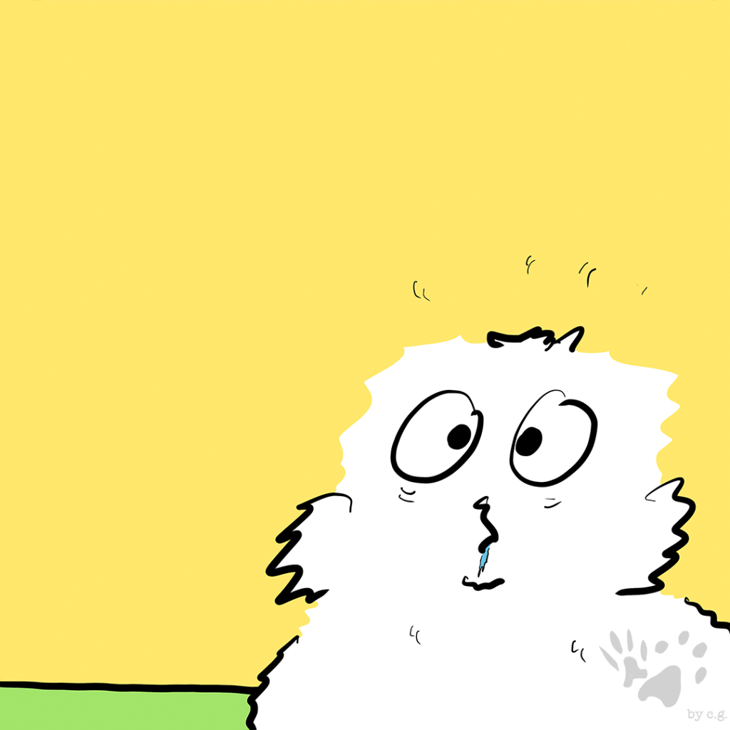 Biden v. Trump&nbsp;II