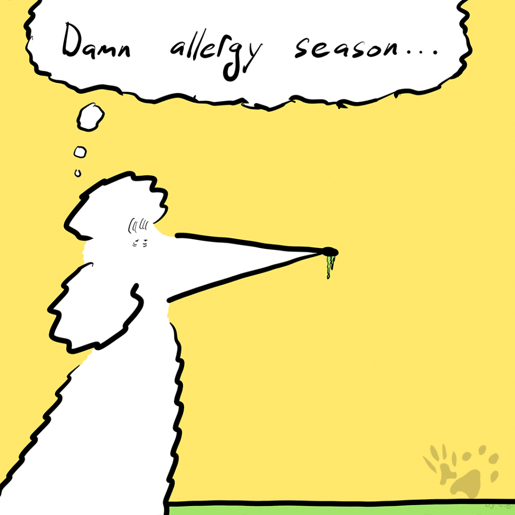 Alergy Season