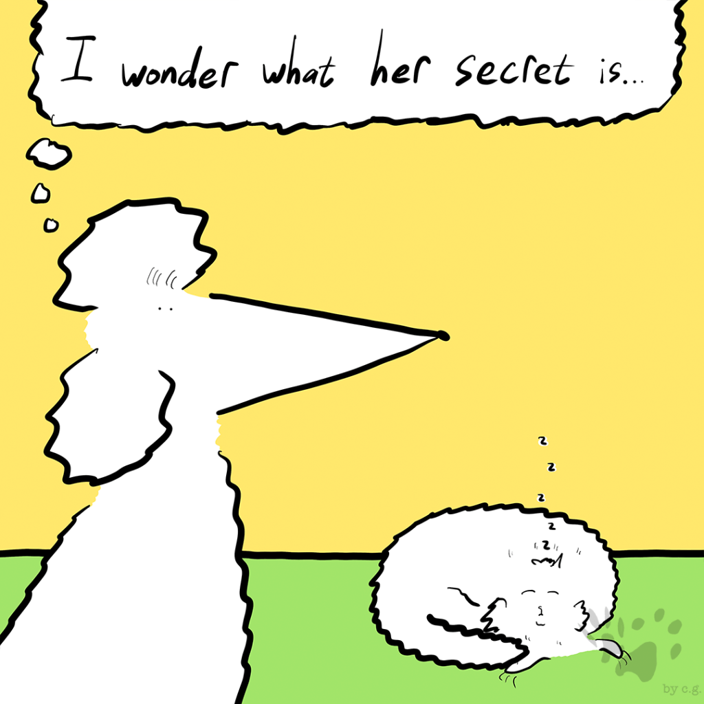 Take Me To&nbsp;Dreamland