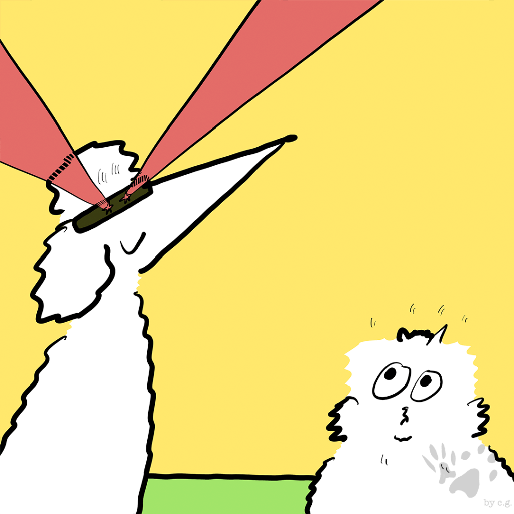 Dark Brandon Sunglasses