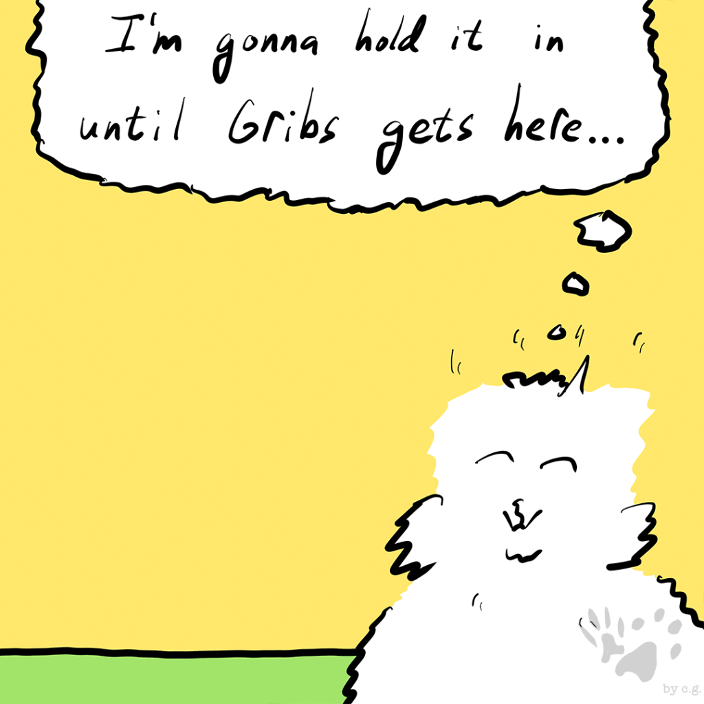 I Will Go Down With This&nbsp;Ship