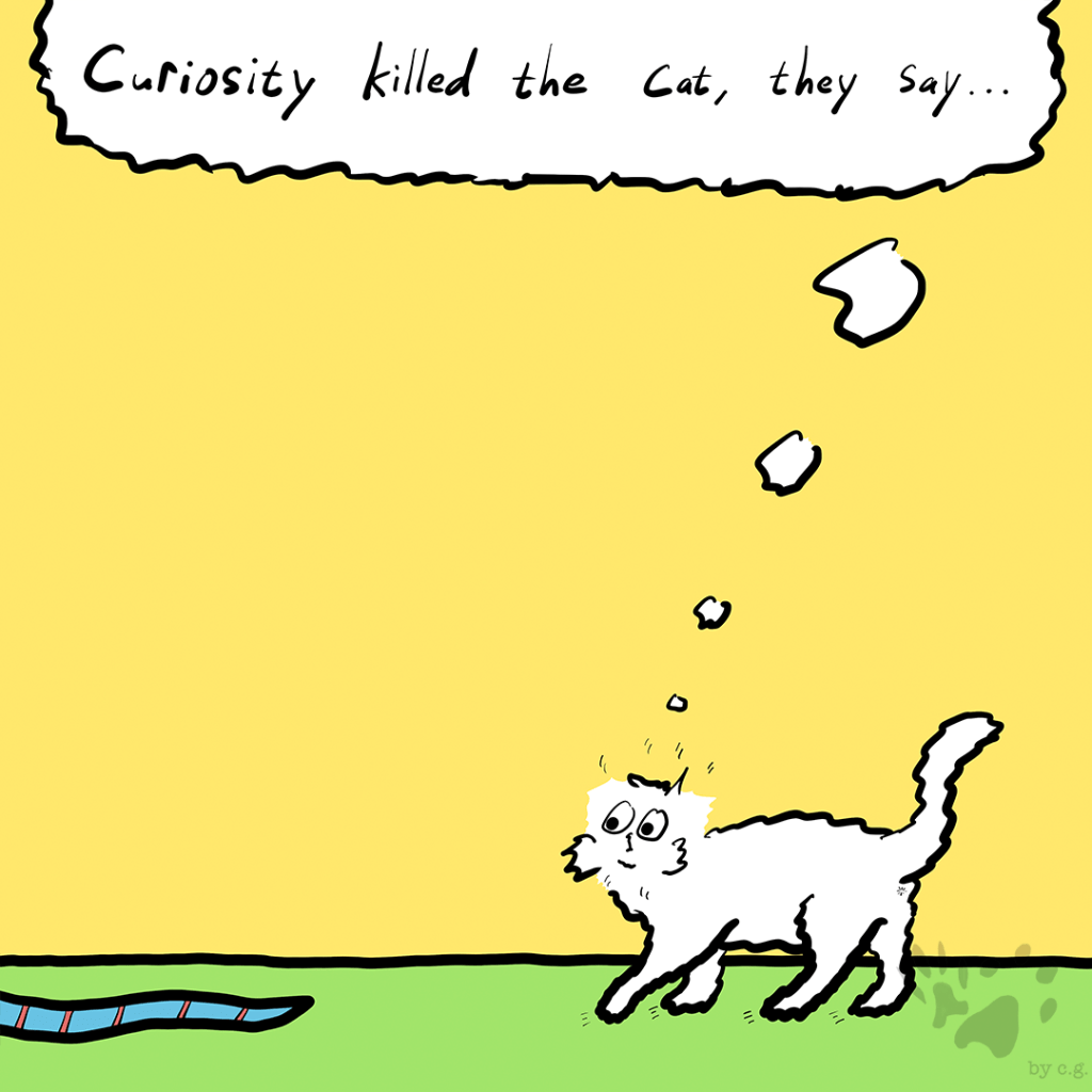 Curiosity Killed the Cat, They&nbsp;Say