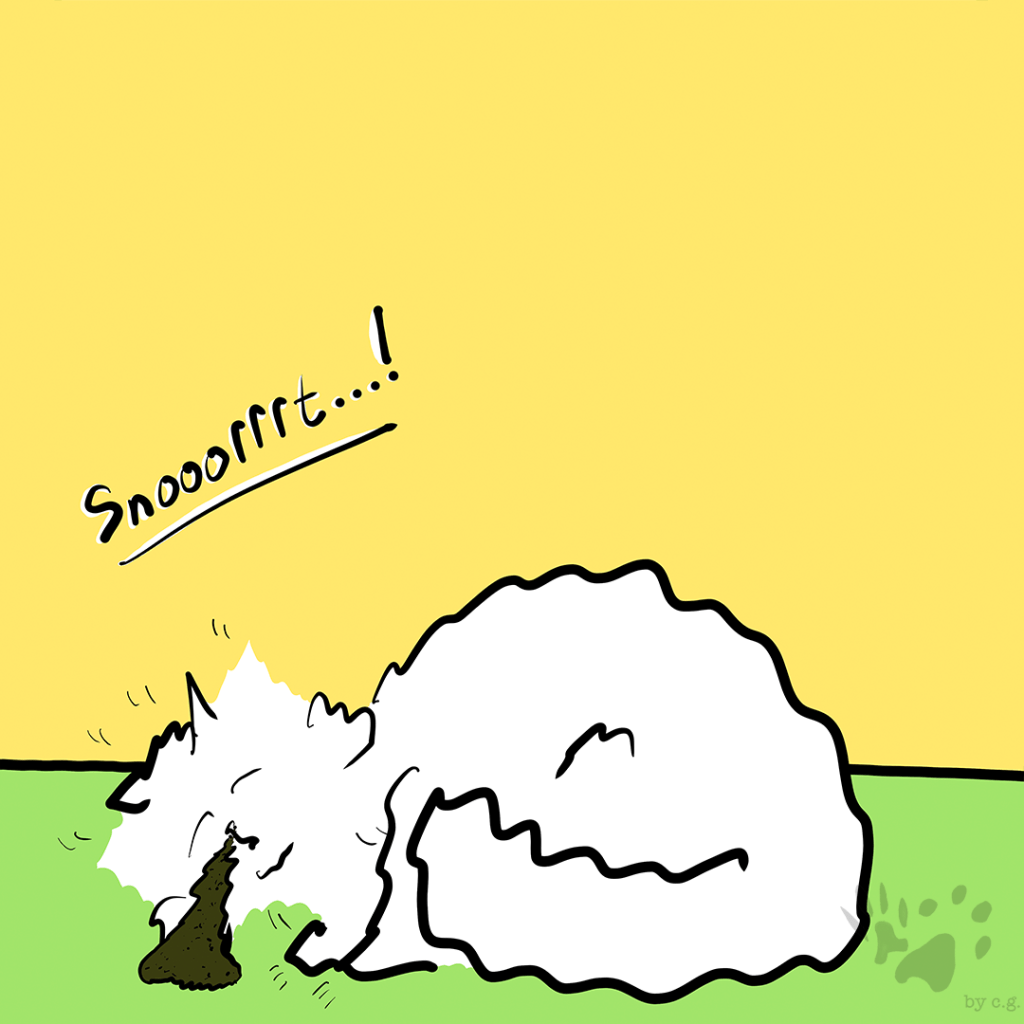 A Little Catnip Can’t&nbsp;Hurt