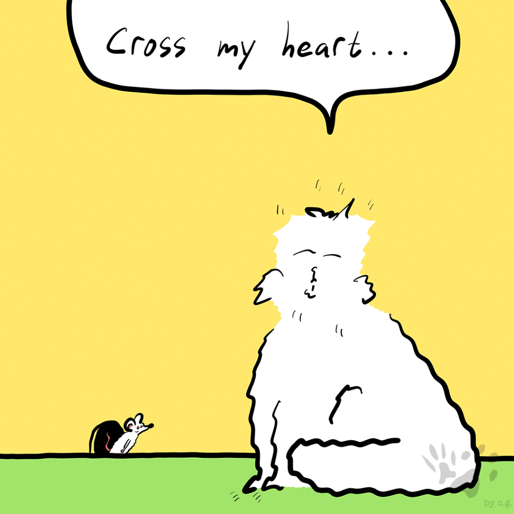 Like I Ever Have to&nbsp;Try