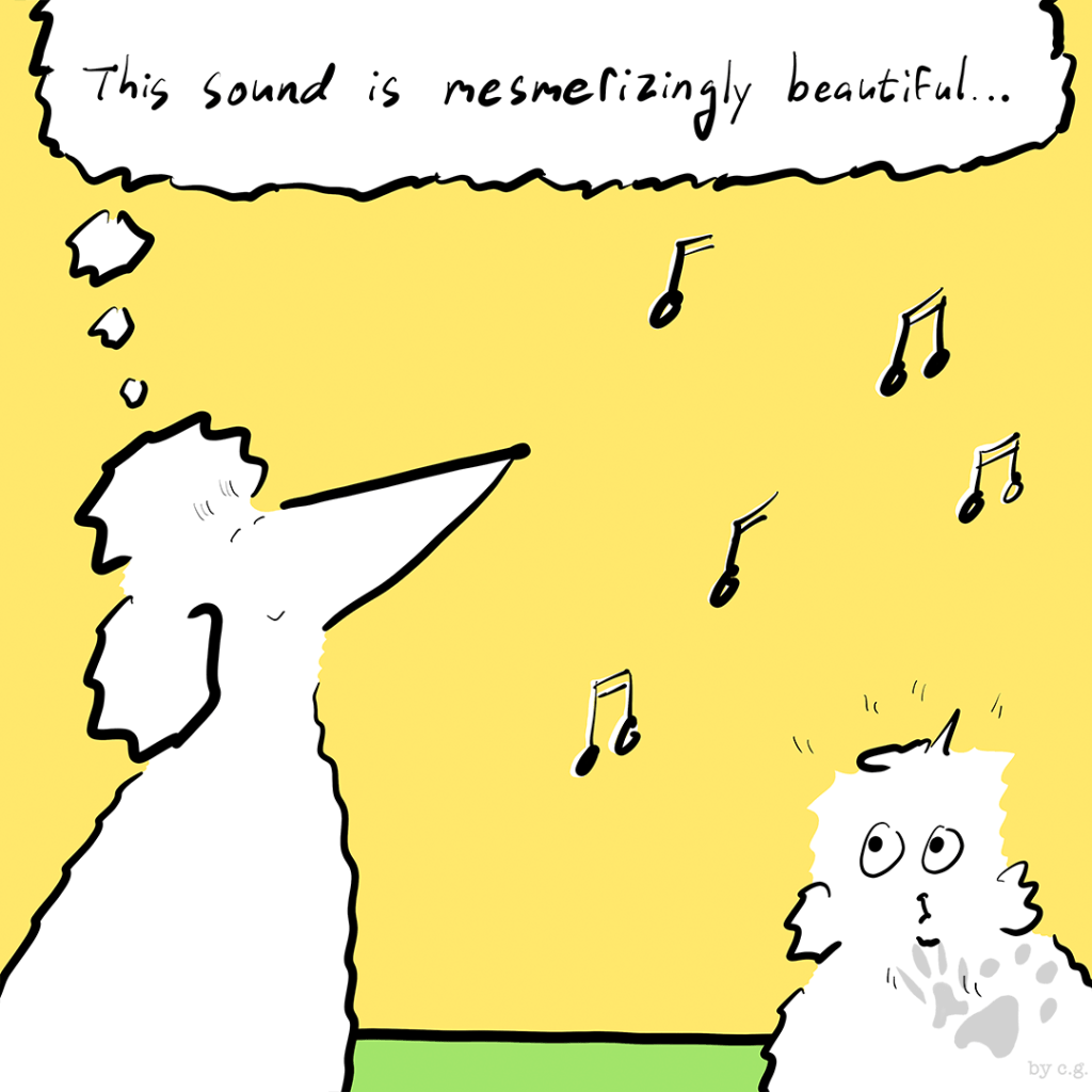 What’s That Beautiful&nbsp;Sound?