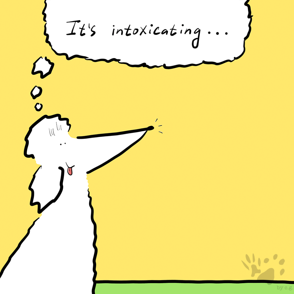 What’s That Smell?