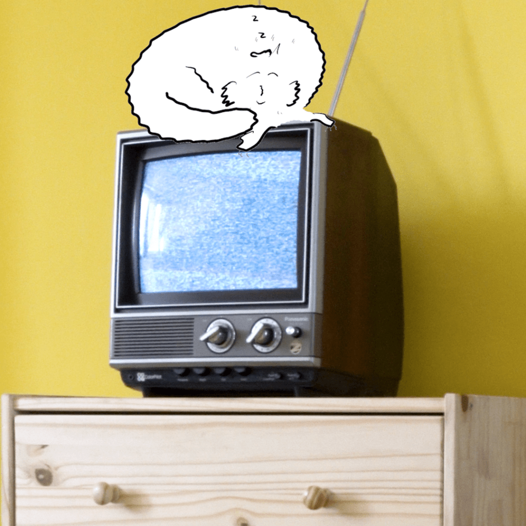 Gracks is a mischevious cat sleeping soundly on top of a warmed up vintage TV in a yellow room.